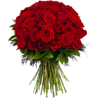 51 red roses | Flower Delivery Verbilki